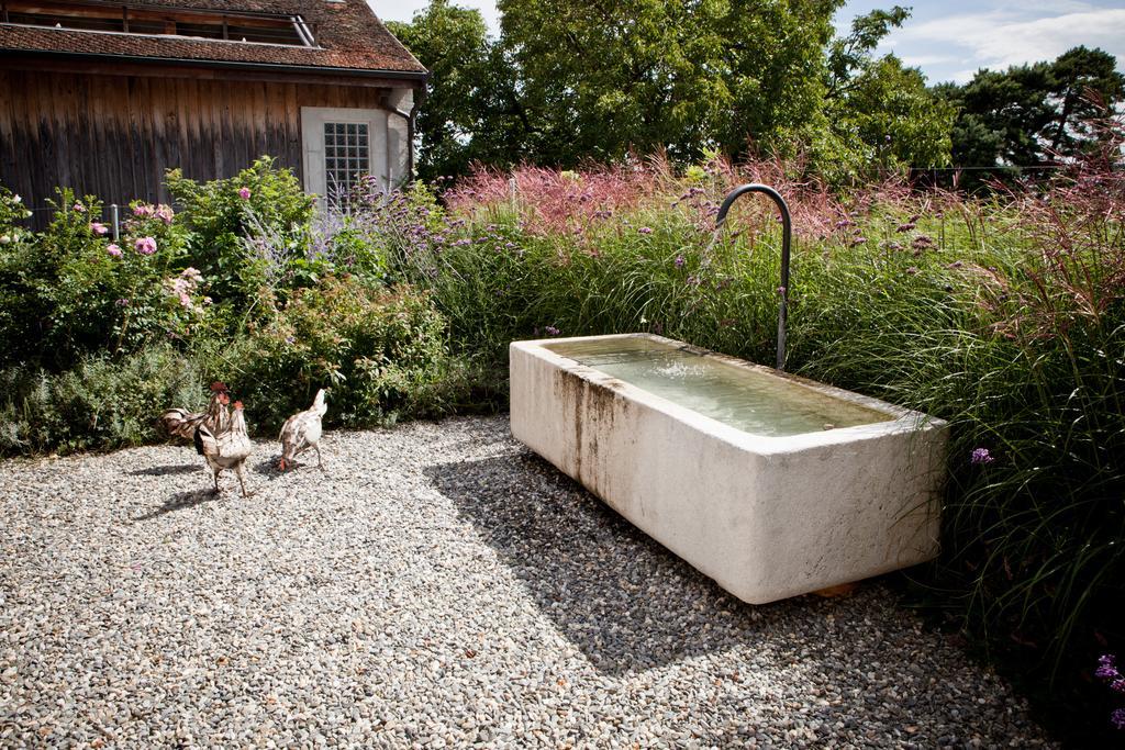 Le Coq Chantant Studios D'Hotes & Boutique Hotel St-Livres Saint-Livres Eksteriør billede