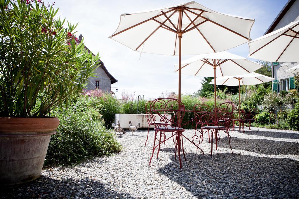 Le Coq Chantant Studios D'Hotes & Boutique Hotel St-Livres Saint-Livres Eksteriør billede
