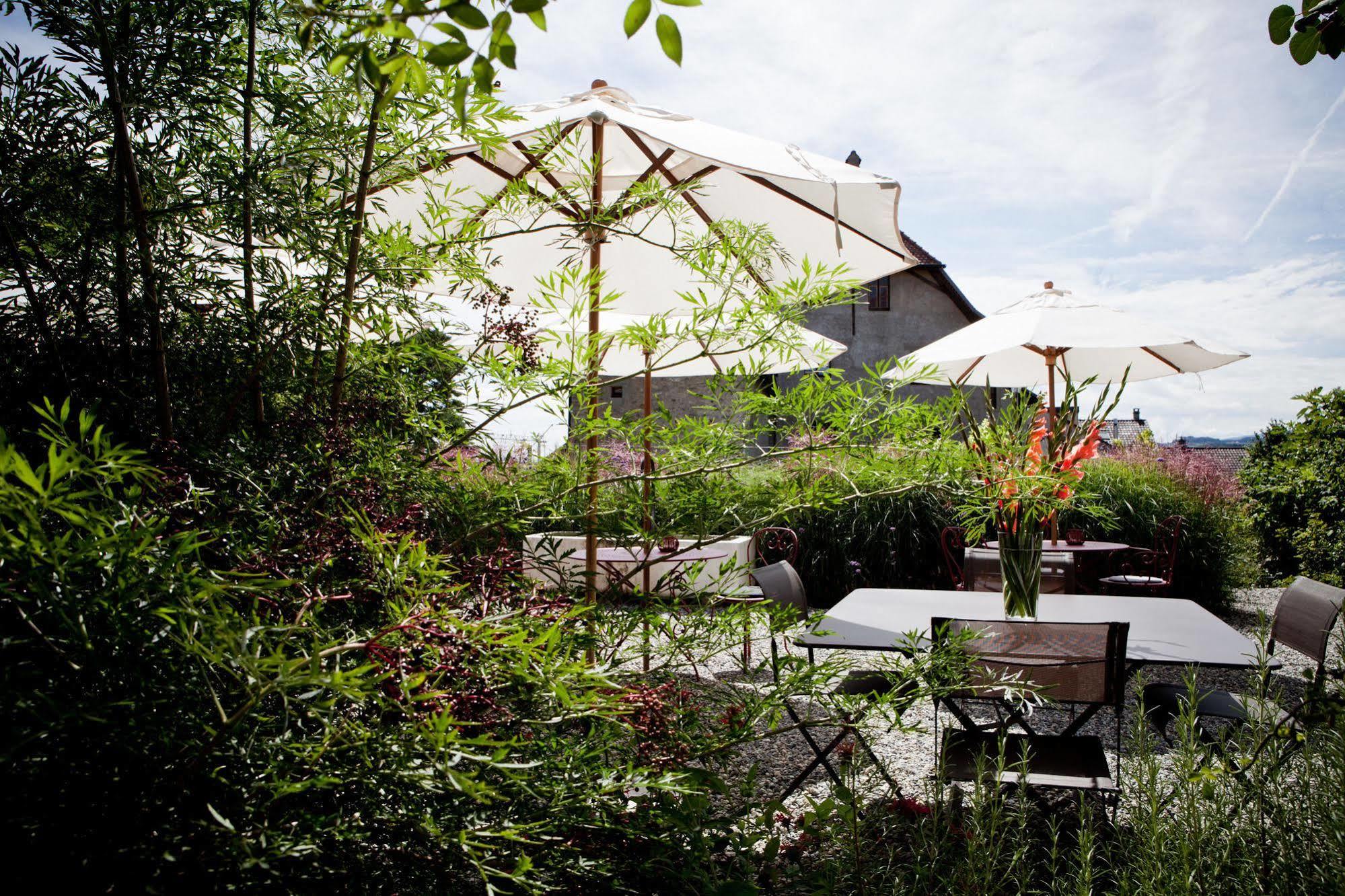 Le Coq Chantant Studios D'Hotes & Boutique Hotel St-Livres Saint-Livres Eksteriør billede